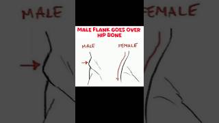 “Male vs Female Body Structure Explained in One Simple Diagram 👀”#youtubeshorts #ytshorts #youtube