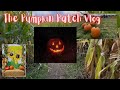 The Pumpkin Patch Vlog!