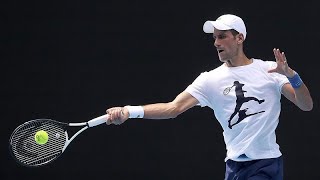 Affaire Djokovic : le champion serbe aurait donné une fausse information à son arrivée en Australie