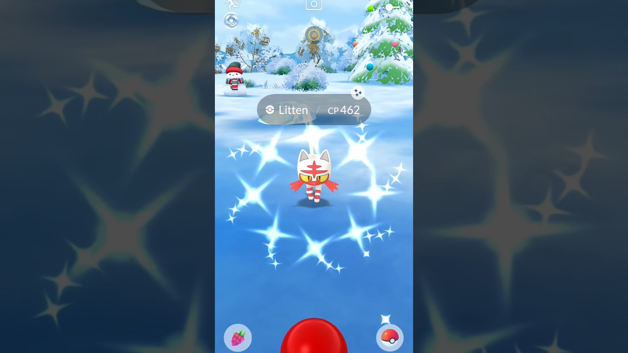 Mega Community Day ✨ Litten 