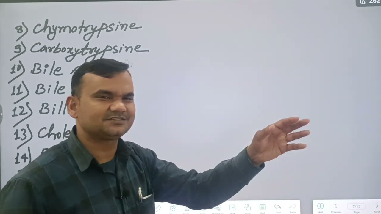 Small Intestine (Enzyme and Hormone)