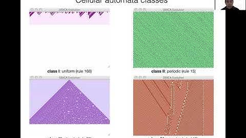 Dr. Genaro Martinez on Collision-based Computing with Cellular Automata at AUTOMATA 2020