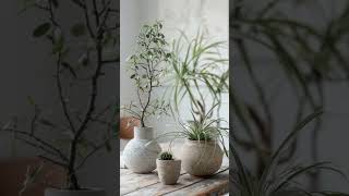Minimalist plant decor ideas 🌿 #plants #indoorplants