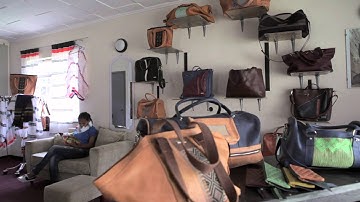 Protecting and Promoting the Diversity of Cultural Expressions in Ethiopia: Ethio-Renaissance