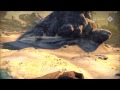 Beginning of video