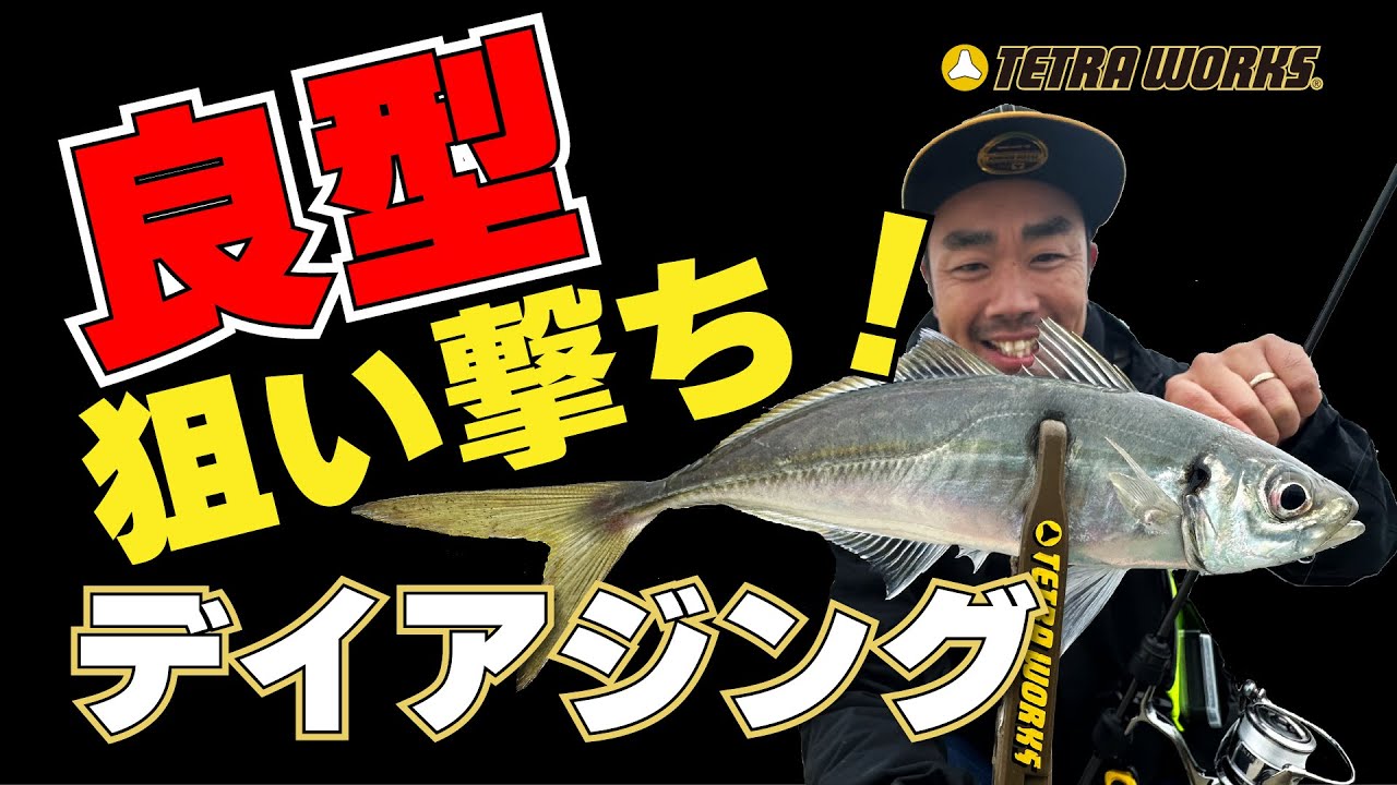 【デイアジング】良型を狙い撃ち！！