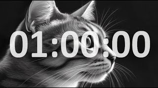 1 Hour Timer Grayscale Cat