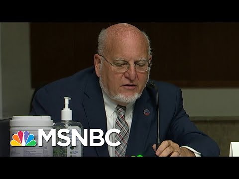 CDC Director On Dr. Scott Atlas: 'Everything He Says Is False' | Ayman Mohyeldin | MSNBC