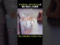 あの伝説のポップスター、実は猫になってた説ｗｗ🎤