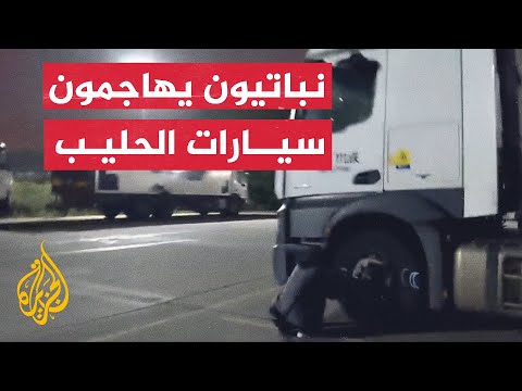 شاهد | نشطاء نباتيون يهاجمون سيارات نقل الحليب في بريطانيا