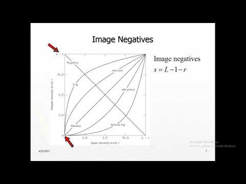 Digital Image Processing (DIP) in MATLAB: Image Negatives