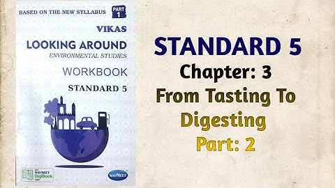 Std-5 EVS | CH:3 From Tasting To Digesting | Part 2 | Looking Around | Vikas Workbook Solution