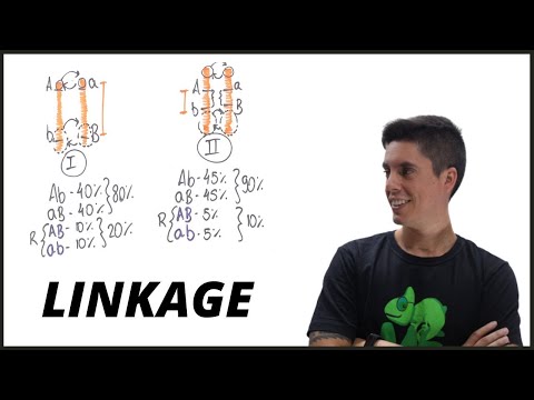 Vídeo: Quem são os genes ligados?