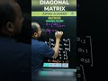 Understanding Diagonal Matrices in 60 Seconds π | CBSE & ICSE Class 10 Maths