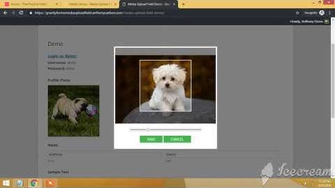 Gravity Forms Media Upload Field