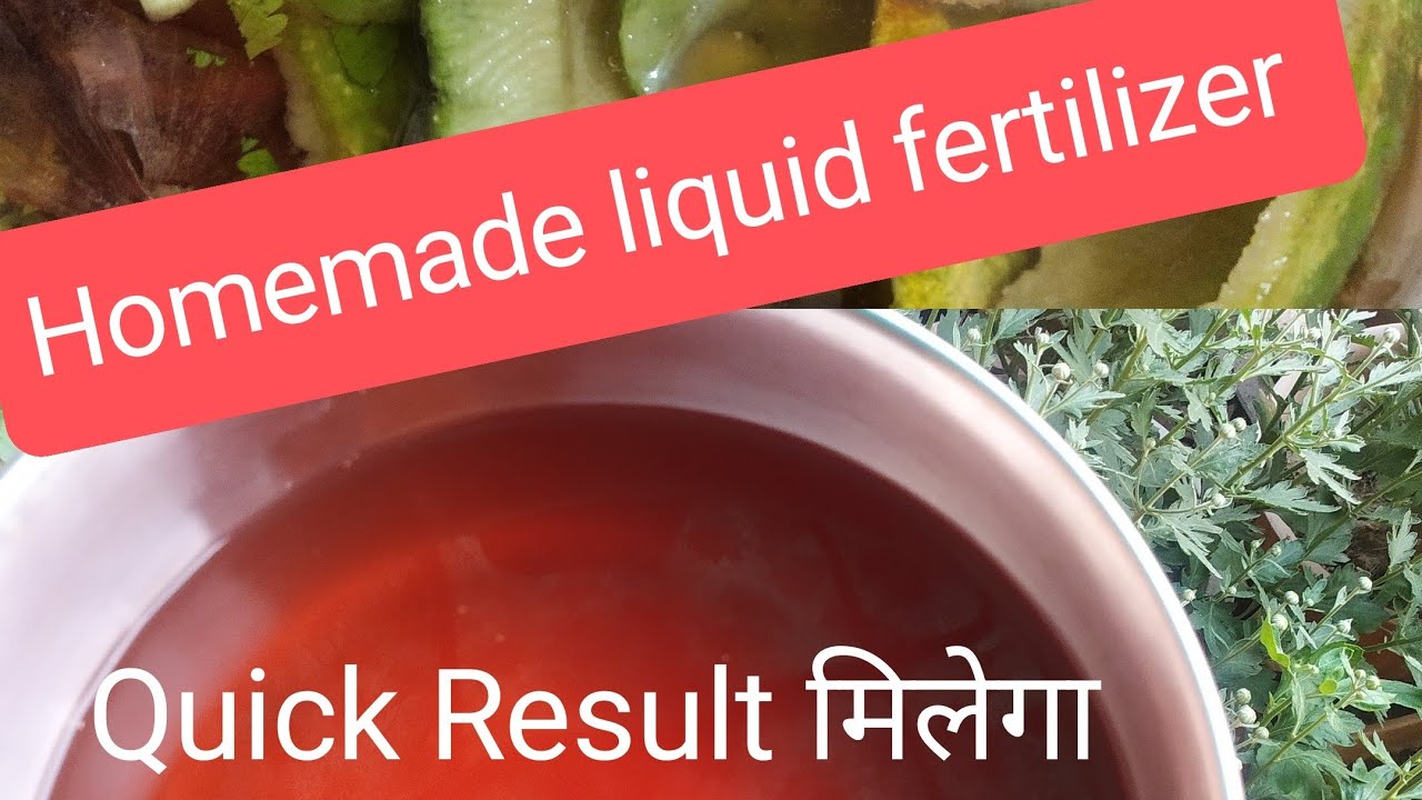 Homemade liquid fertilizer for plants YouTube