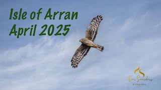 Isle Of Arran - April 2025