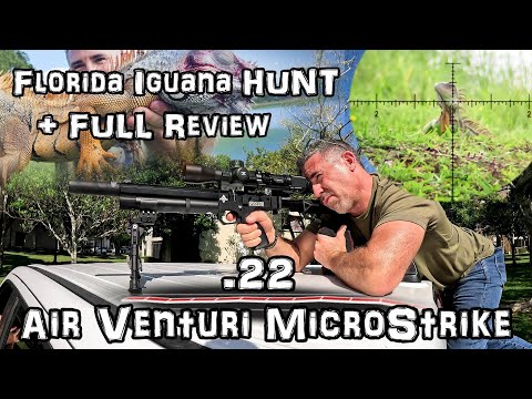 Florida Iguana Hunt - NEW Air Venturi MicroStrike .22 Airgun Versus Invasive Species + FULL REVIEW