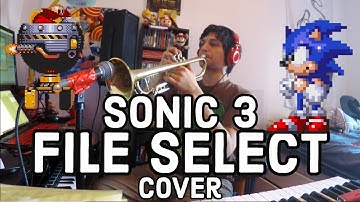 Sonic 3 | File Select | VGM Collective