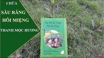 Nước súc miệng thanh mộc hương cho người sâu răng hôi miệng, chảy máu chân răng