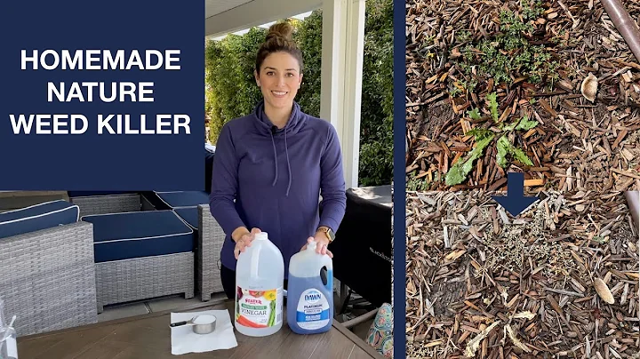 Homemade Weed Killer (No Harsh Chemicals! Affordable)