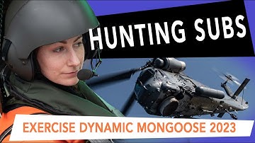 Exercise DYNAMIC MONGOOSE 23