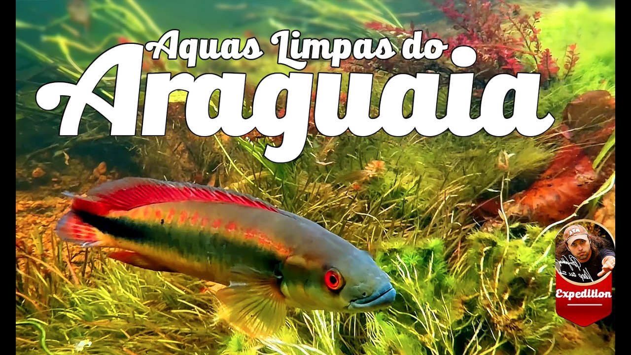 Aquas Limpas do Araguaia /The Downfall of the Myth of Eagle Eye Cory