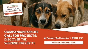 COMPANION FOR LIFE CALL: FIND OUT THE FUNDED PROJECTS
