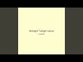 Midnight Twilight Velvet