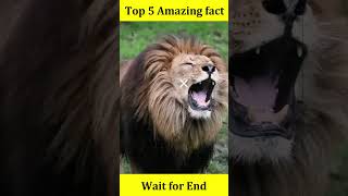 Top 5 Amazing Fact
