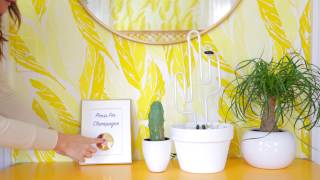Press For Champagne DIY @abeautifulmessblog
