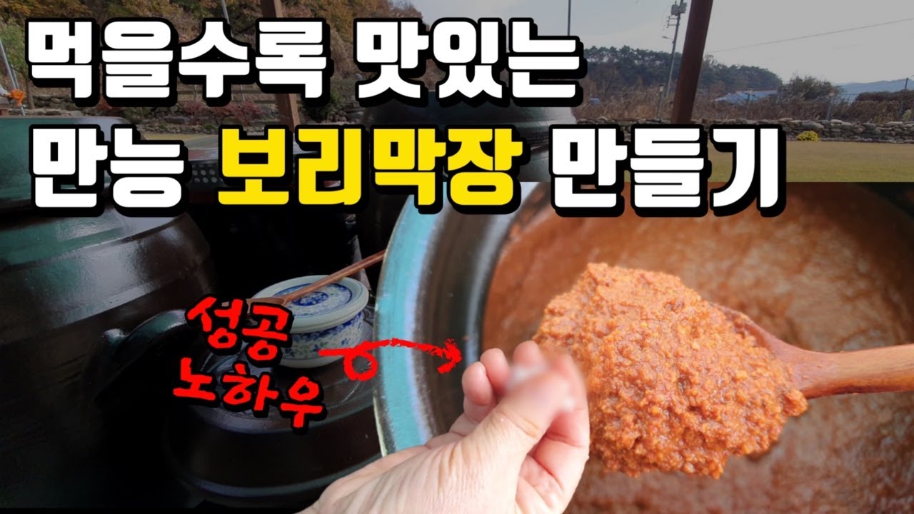 만들어 금방 먹는 보리막장 담기 먹을수록 맛있는 전통장 만드는 노하우로 초보자도 쉽게 담가보세요