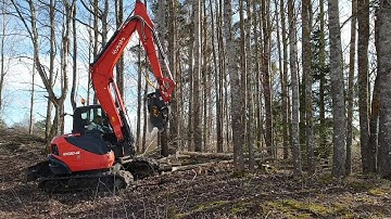 FOR SALE / KUBOTA KX 080-4 + TMK 300 tree shear