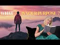 Discover Your Purpose: How to Find Your 'Why' and Unlock Your Full Potential