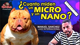 🔥Ya sabes las diferencias entre los micros y los nanos❓❓ by La Ruta Bulls 4,450 views 10 months ago 48 minutes