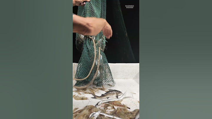 #Shrimp has been big #business in #Louisiana, but many shrimpers have had to close up shop.