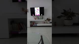 Song Chibiusa And Sailormoon, Bad Boy.