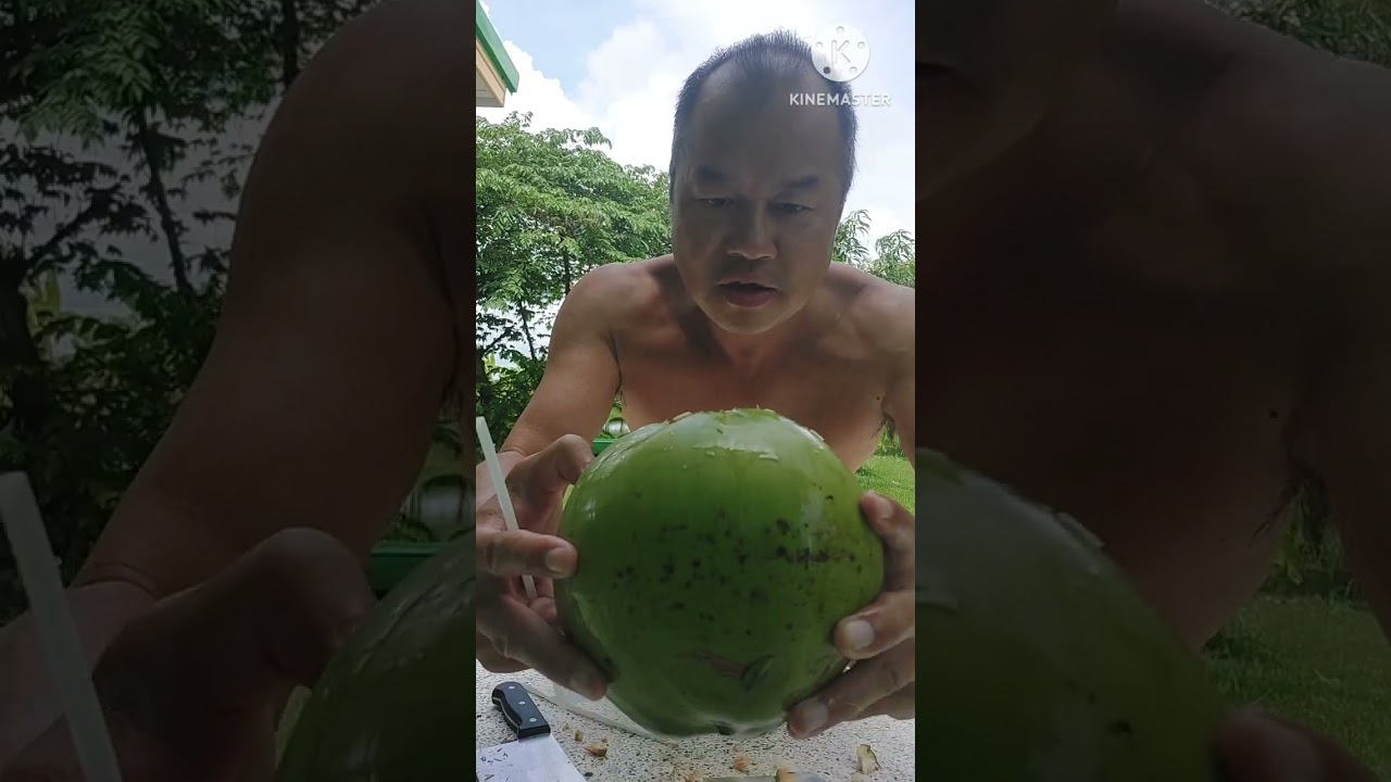 First Coconuts 🥥 On The Homestead. Living Off Grid In Thailand 🇹🇭 