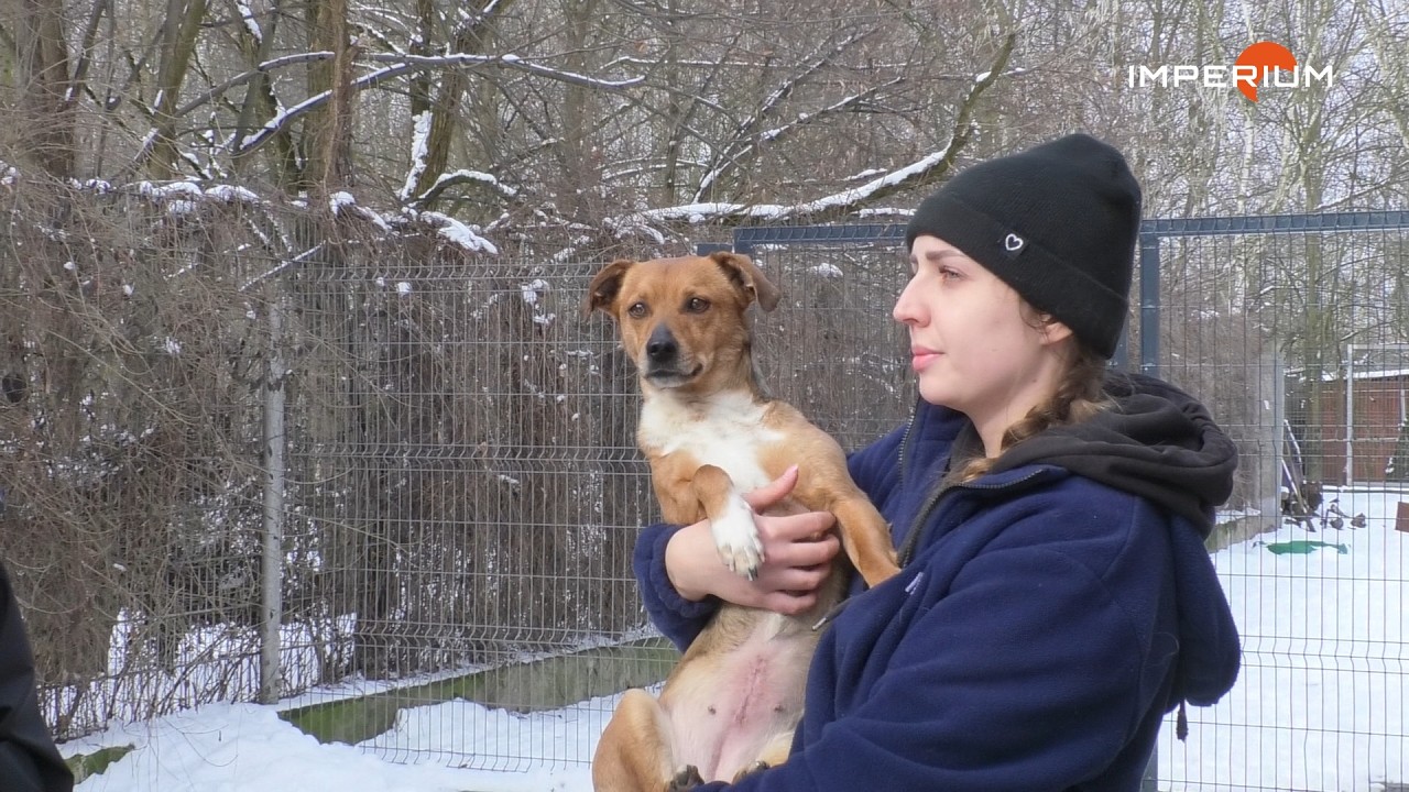 Wizyta w Schronisku na Wschodniej | 100% GLIWIC