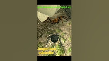 tarantula VS rescule spider #shorts