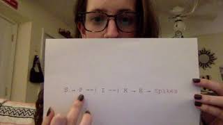 GN311 Exam Video 6- Prompt 2/ Developmental Pathways