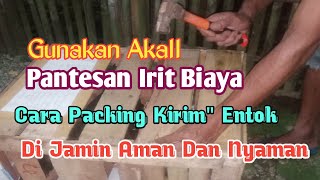 CARA PACKING TERNAK ENTOK  KIRIM LUAR KOTA JAMIN AMAN DAN NYAMAN YANG PASTI IRIT BIAYA