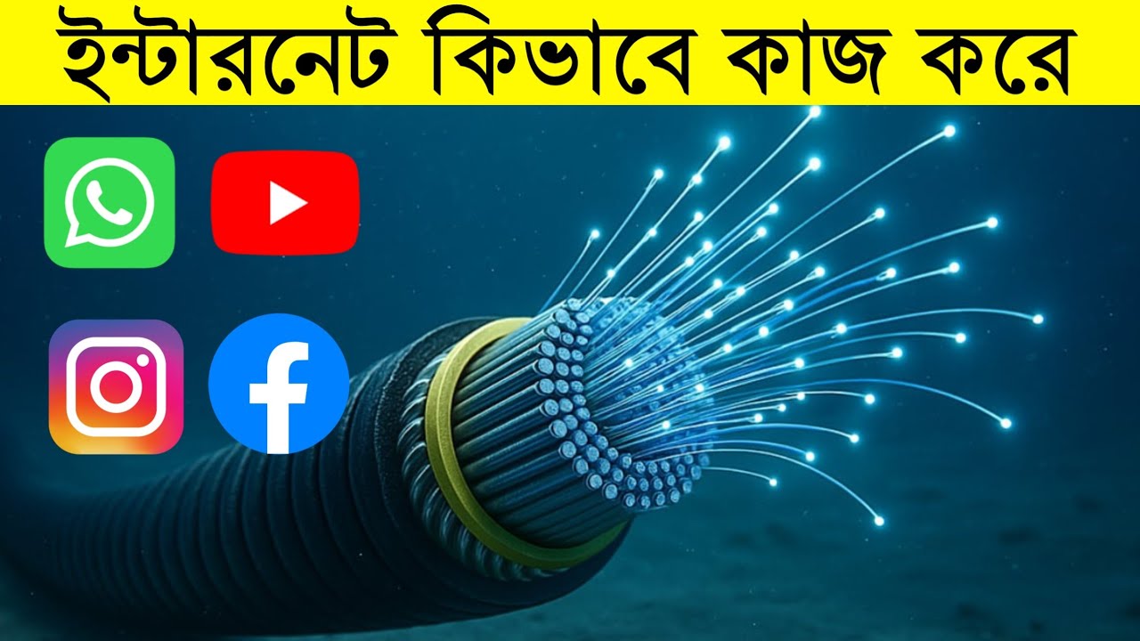 ইন্টারনেট কিভাবে কাজ করে | HOW THE INTERNET WORKS