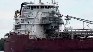 Canada Steamship Lines Baie St. Paul Sailing Downriver With Salute 52924