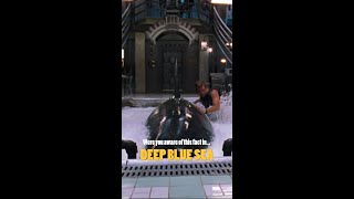 Were You Aware Of This Fact In... Deep Blue Sea