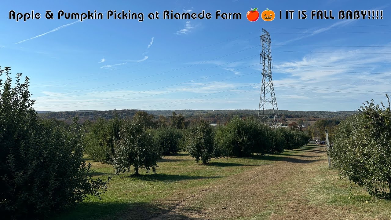 Apple & Pumpkin Picking at Riamede Farm 🍎🎃 | IT IS FALL BABY!!!!
