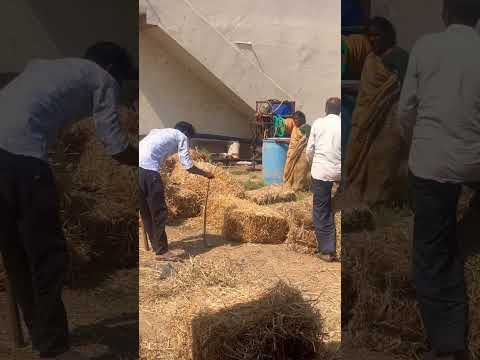 #snake #viralvideo