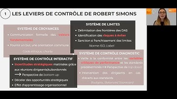 Les leviers de contrôle de Robert Simons M2 AE IAE Perpignan
