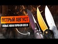 ОСТРЫЙ АВГУСТ! Новые ножи, которые украшали карманы и полки #нож #обзор #edc