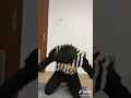 اسم شهاب